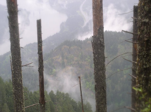 5.7.06 Wauna Point 030 